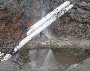 新龙水管维修费用是多少