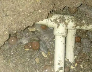 新龙卫生间测漏