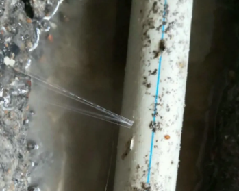 新龙卫生间测漏水多少钱