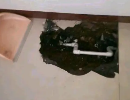 新龙卫生间测漏水多少钱